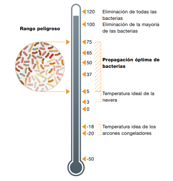 propagacion de bacteria segun temperatura